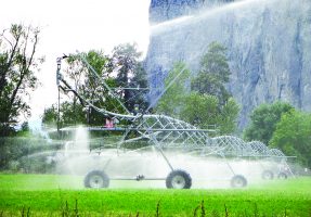 Irrigation