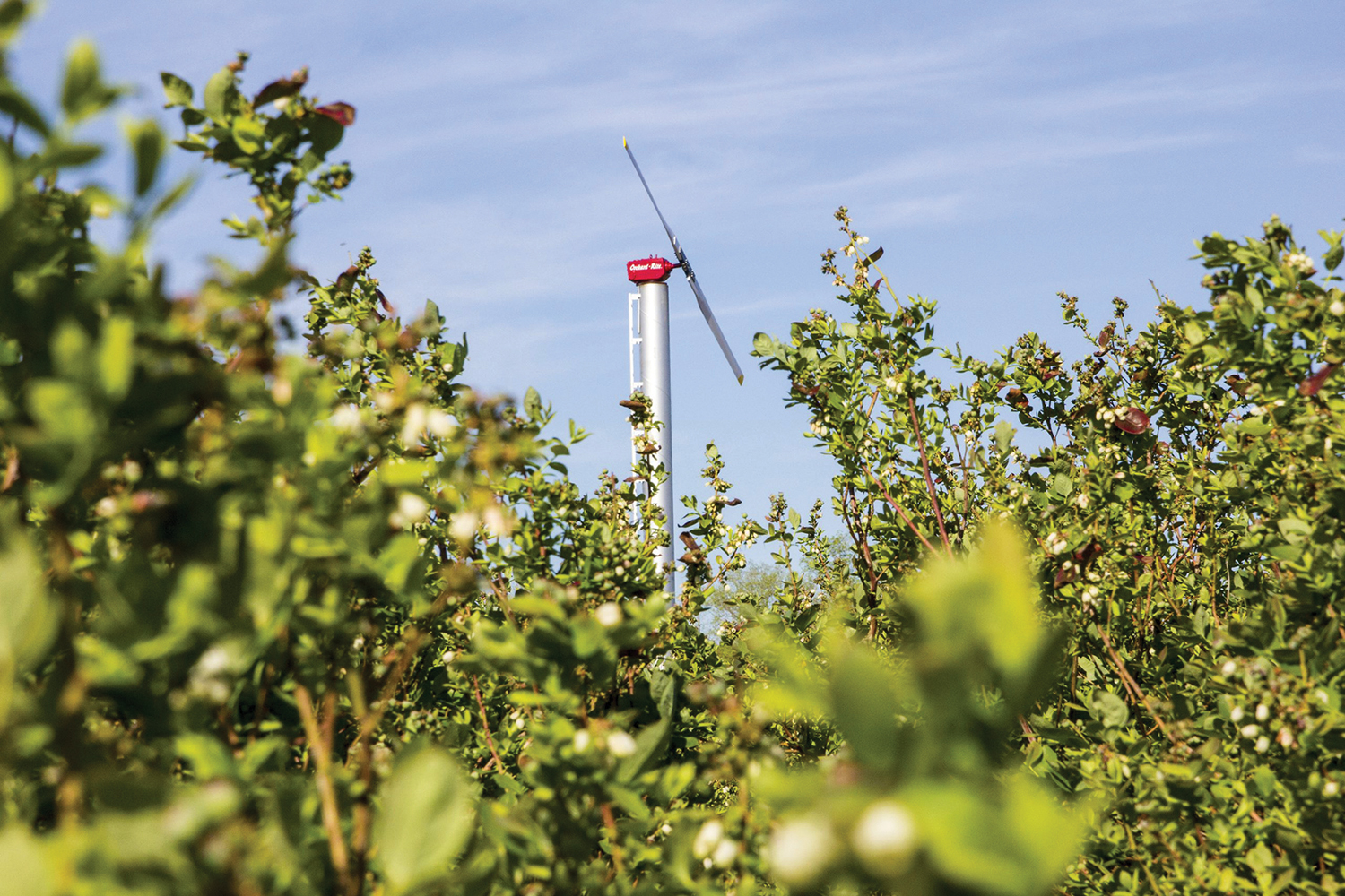 Wind machines in Surrey face blowback - Country Life in BC
