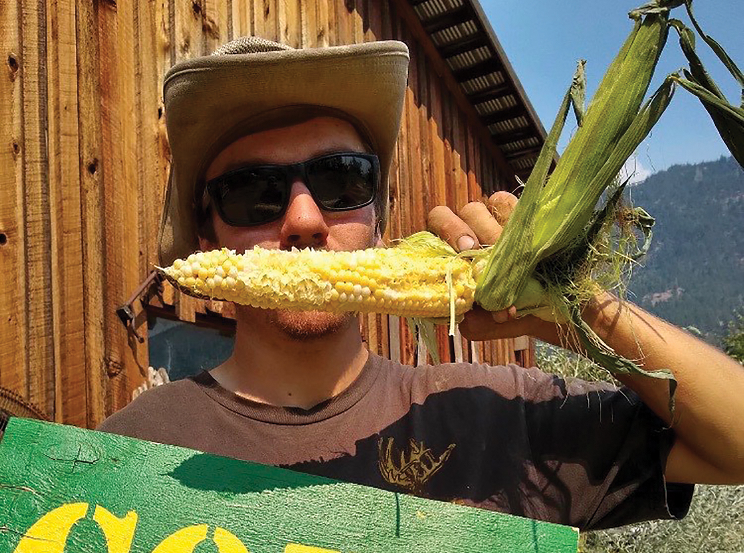 Filling a market for fresh corn in Chase Country Life in BC