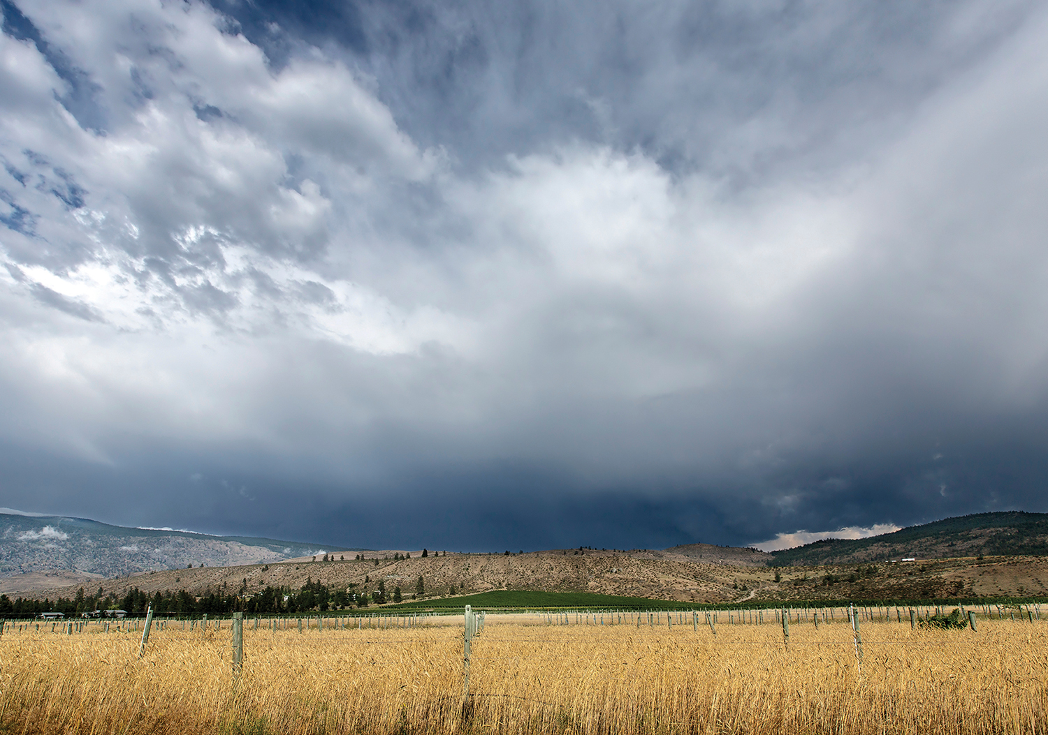 forecasting-will-improve-with-ai-technology-country-life-in-bc